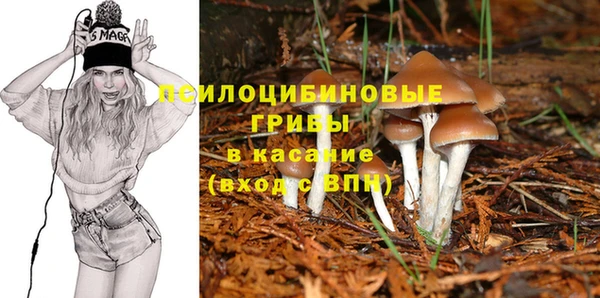 мет Богородск