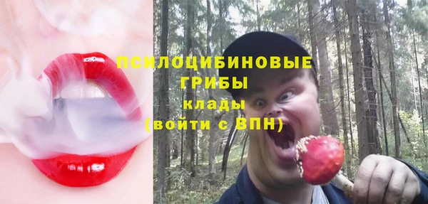 бутират Богородицк