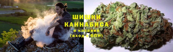 мдма Богданович