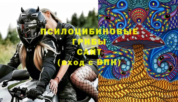 бутират Богородицк