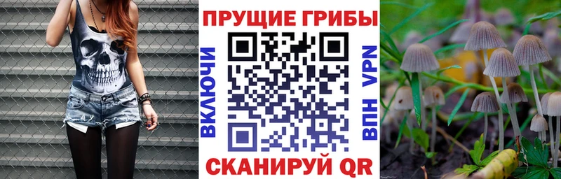 Галлюциногенные грибы MAGIC MUSHROOMS  MEGA ТОР  Петрозаводск 